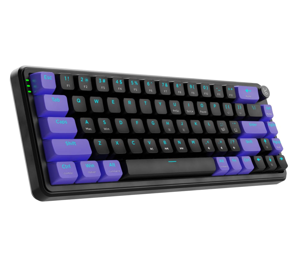 Kreo Hive 65 RGB Mechanical Gaming Keyboard | Pre-Lubed Switches, Anti-Ghosting, 5-Pin Hot-Swap | Wired 65% Keyboard with RGB Backlight & Detachable USB-C Cable (Black)