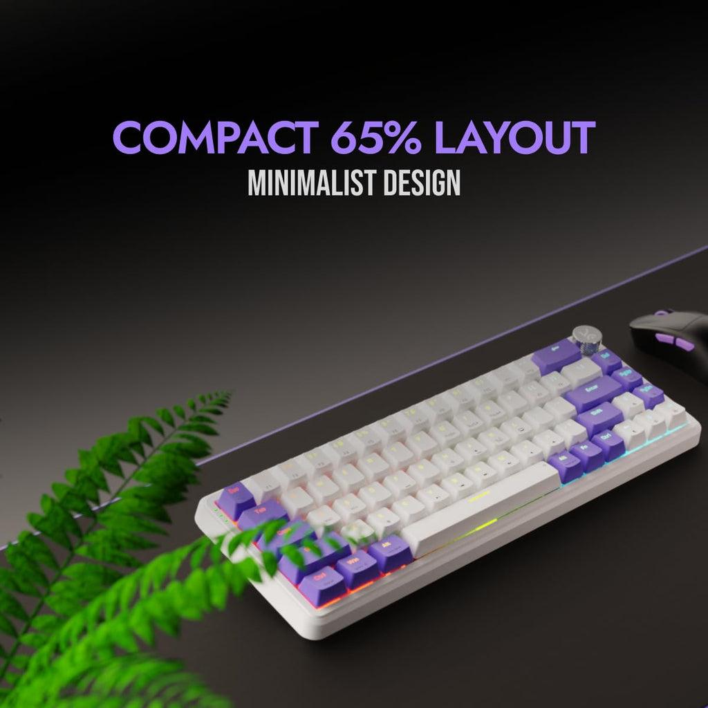 Kreo Hive 65 RGB Mechanical Gaming Keyboard | Pre-Lubed Switches, Anti-Ghosting, 5-Pin Hot-Swap | Wired 65% Keyboard with RGB Backlight & Detachable USB-C Cable (Black)