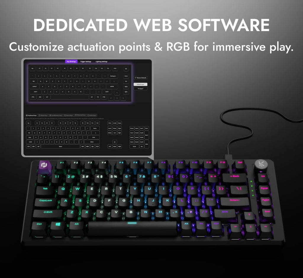 Kreo Hive 65 RGB Mechanical Gaming Keyboard | Pre-Lubed Switches, Anti-Ghosting, 5-Pin Hot-Swap | Wired 65% Keyboard with RGB Backlight & Detachable USB-C Cable (Black)