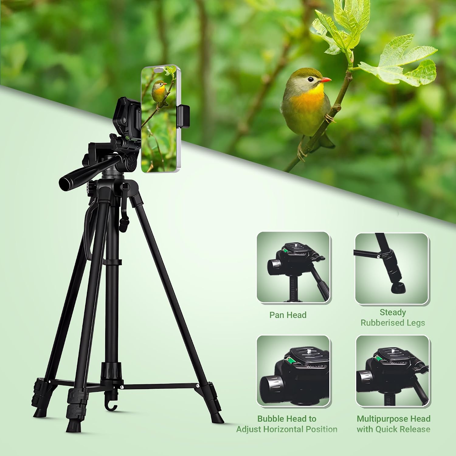 DIGITEK (DTR 550 LW) 67 Inch Foldable Tripod Stand with Phone Holder & 360° Ball Head, 5kg Load Capacity, Aluminum Alloy Legs with Rubberized Feet & Flip Locks, Carry Bag, for Photo & Video Shoots